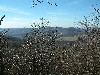n_dscf0347.jpg