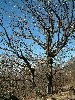 n_dscf0348.jpg