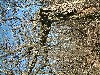 n_dscf0349.jpg