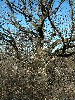 n_dscf0355.jpg