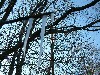 n_dscf0370.jpg
