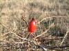 n_dscf0372.jpg