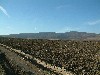 n_dscf0374.jpg