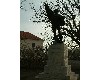 n_dscf0006.jpg