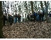 n_dscf0017.jpg