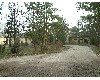 n_dscf0020.jpg