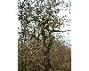 n_dscf0024.jpg