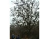 n_dscf0031.jpg