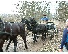 n_dscf0037.jpg