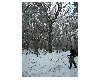 n_dscf0118.jpg
