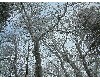 n_dscf0139.jpg