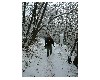 n_dscf0154.jpg