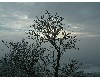 n_dscf0156.jpg