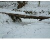 n_dscf0162.jpg