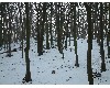 n_dscf0163.jpg