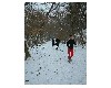 n_dscf0164.jpg