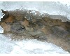 n_dscf0166.jpg