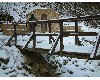 n_dscf0170.jpg