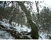 n_dscf0180.jpg