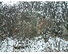 n_dscf0182.jpg