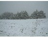 n_dscf0187.jpg