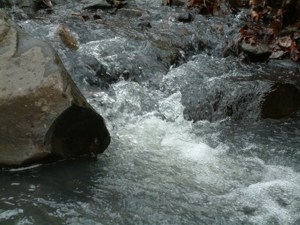 DSCF0086.JPG