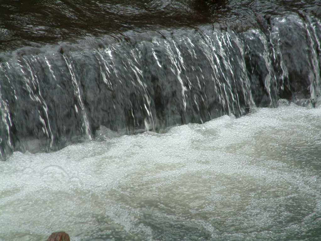 DSCF0087.JPG