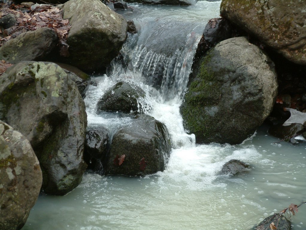 DSCF0089.JPG