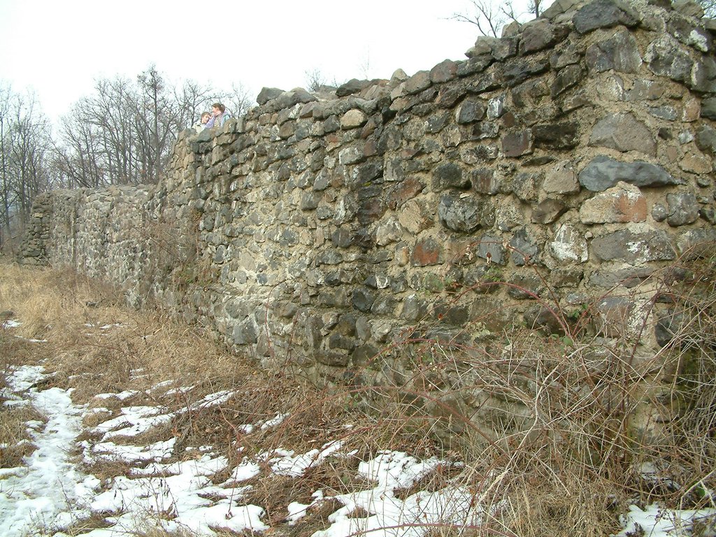 DSCF0092.JPG