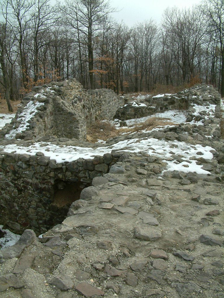 DSCF0094.JPG
