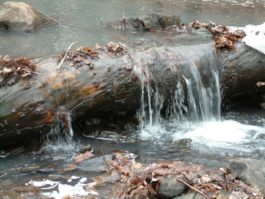 DSCF0096.JPG