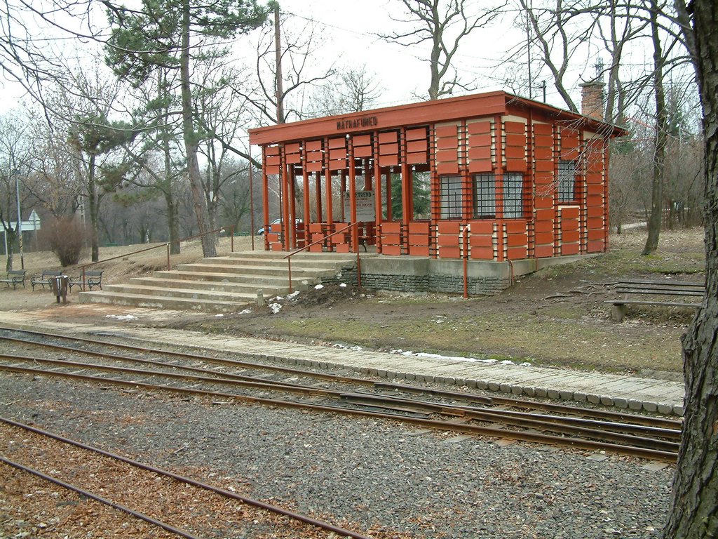 DSCF0098.JPG