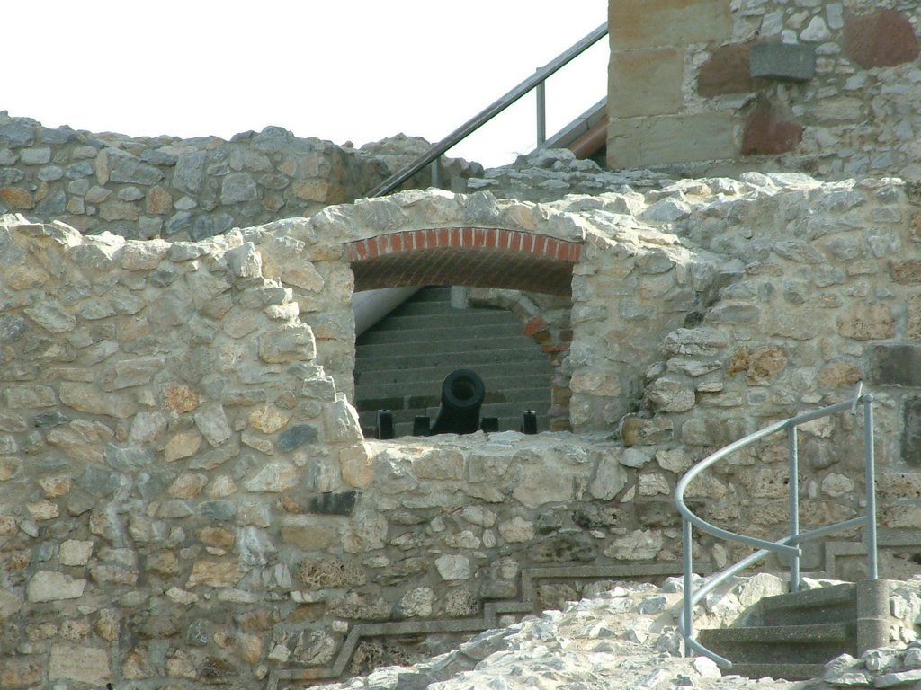 DSCF0116.JPG