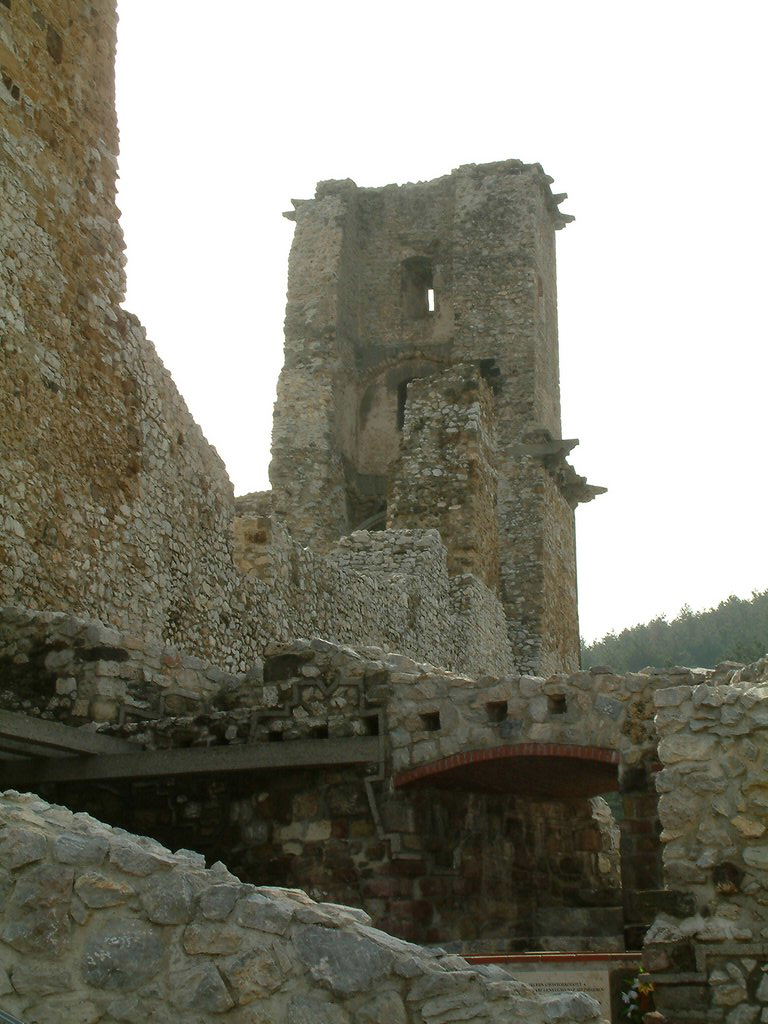DSCF0125.JPG