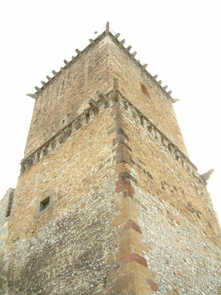 DSCF0126.JPG