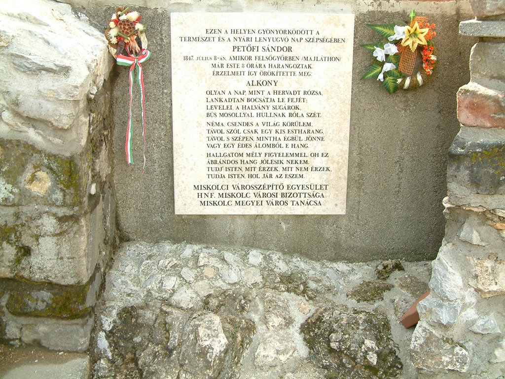 DSCF0127.JPG