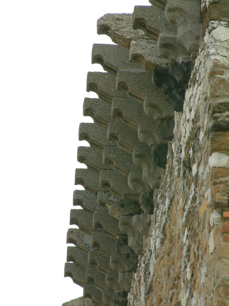 DSCF0131.JPG