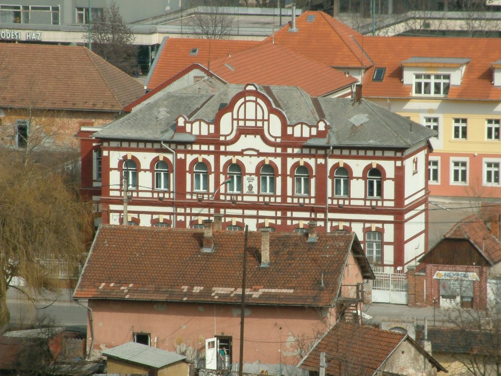 DSCF0142.JPG