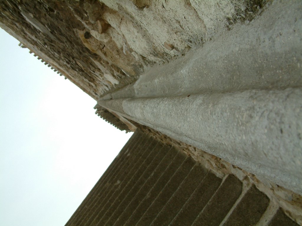 DSCF0145.JPG