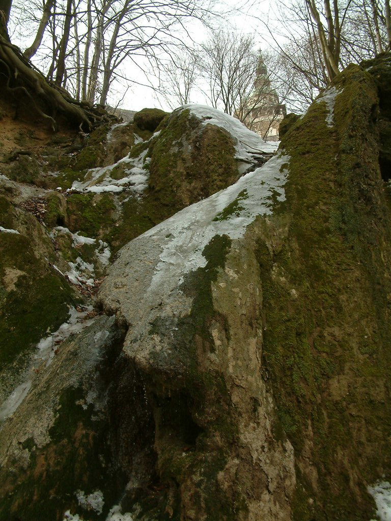 DSCF0152.JPG