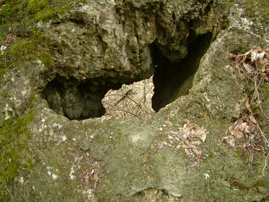 DSCF0155.JPG