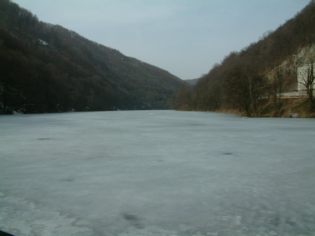 DSCF0165.JPG