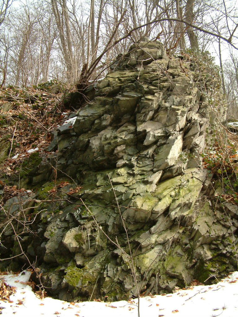 DSCF0167.JPG