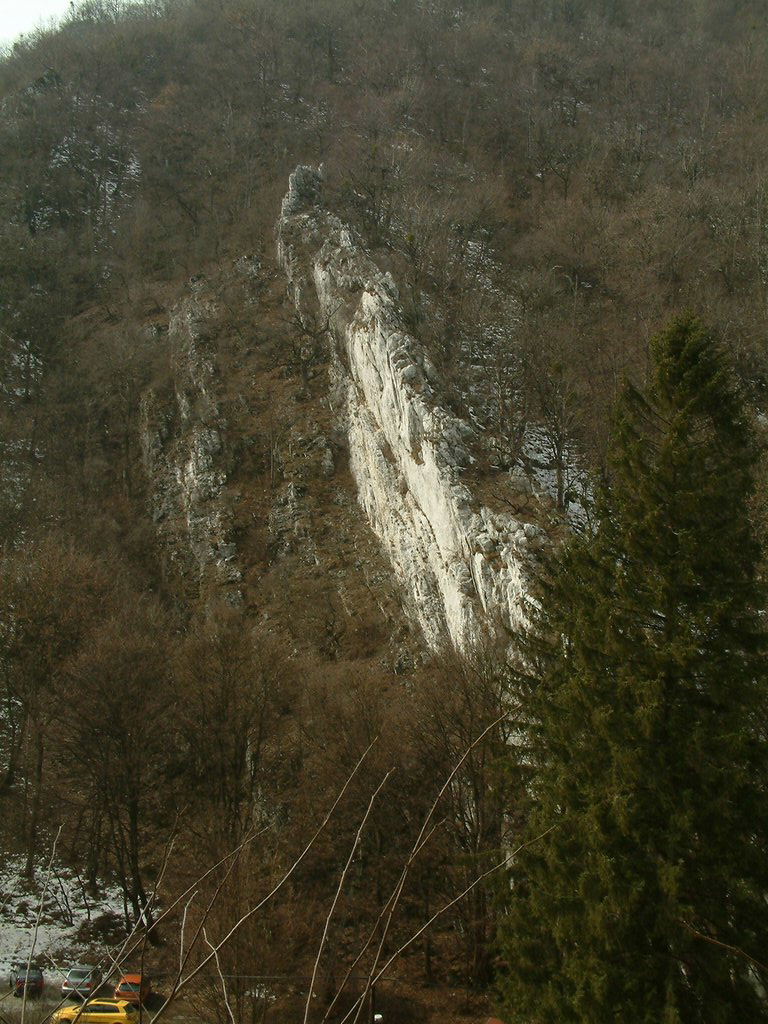 DSCF0168.JPG