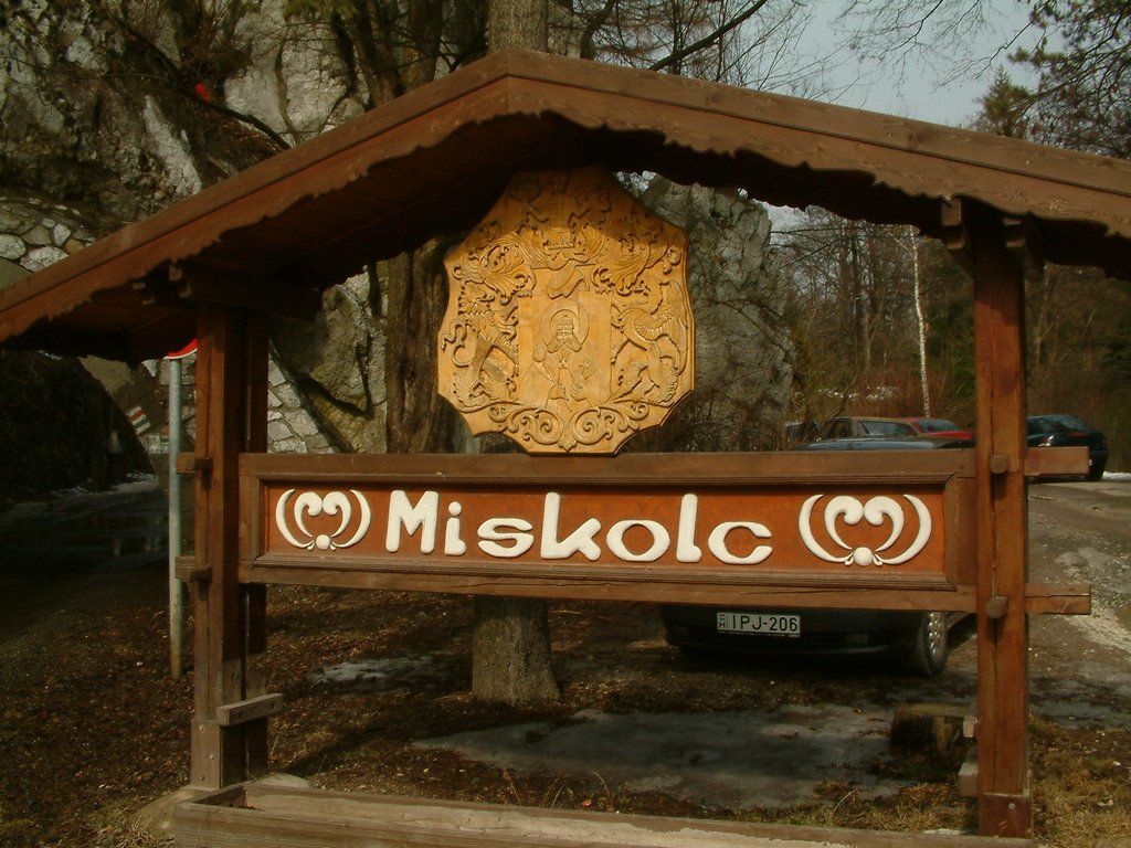 DSCF0173.JPG