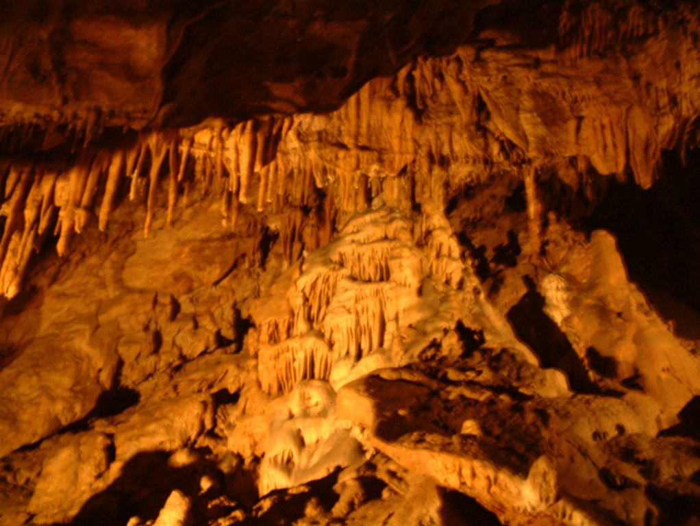 DSCF0181.JPG