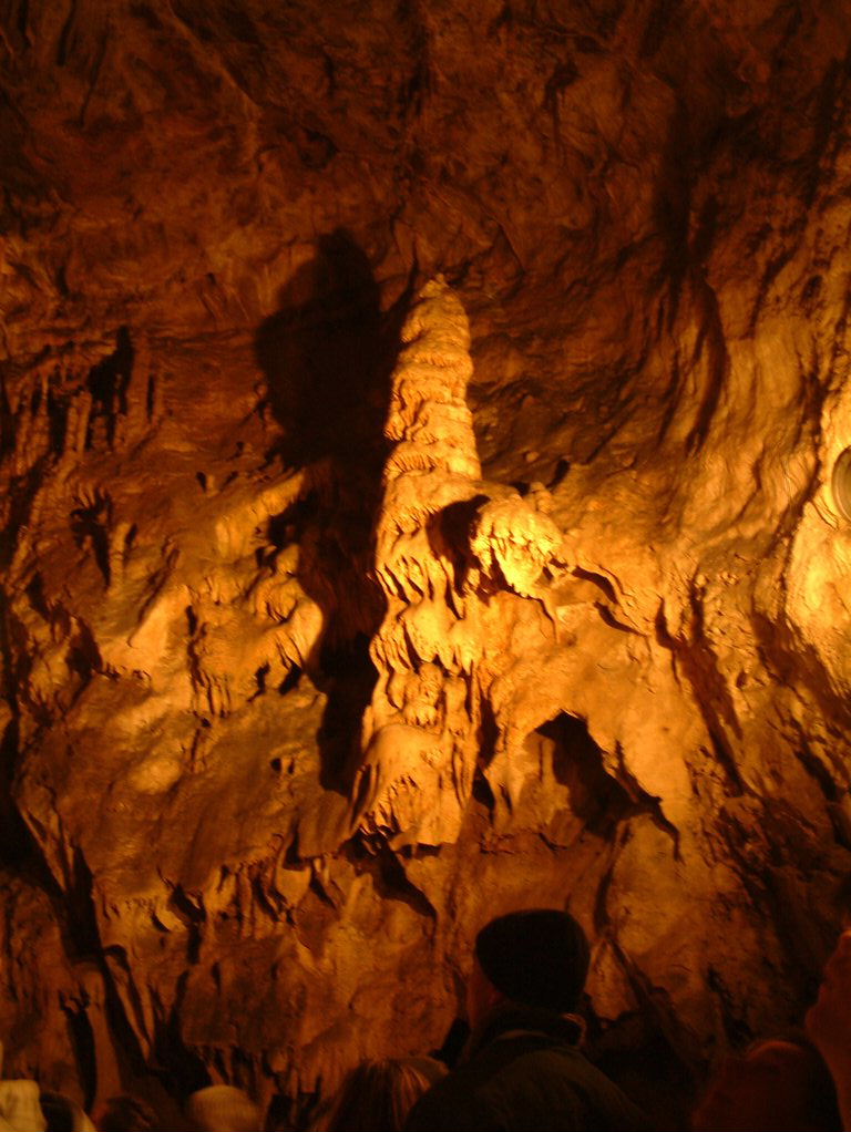 DSCF0184.JPG