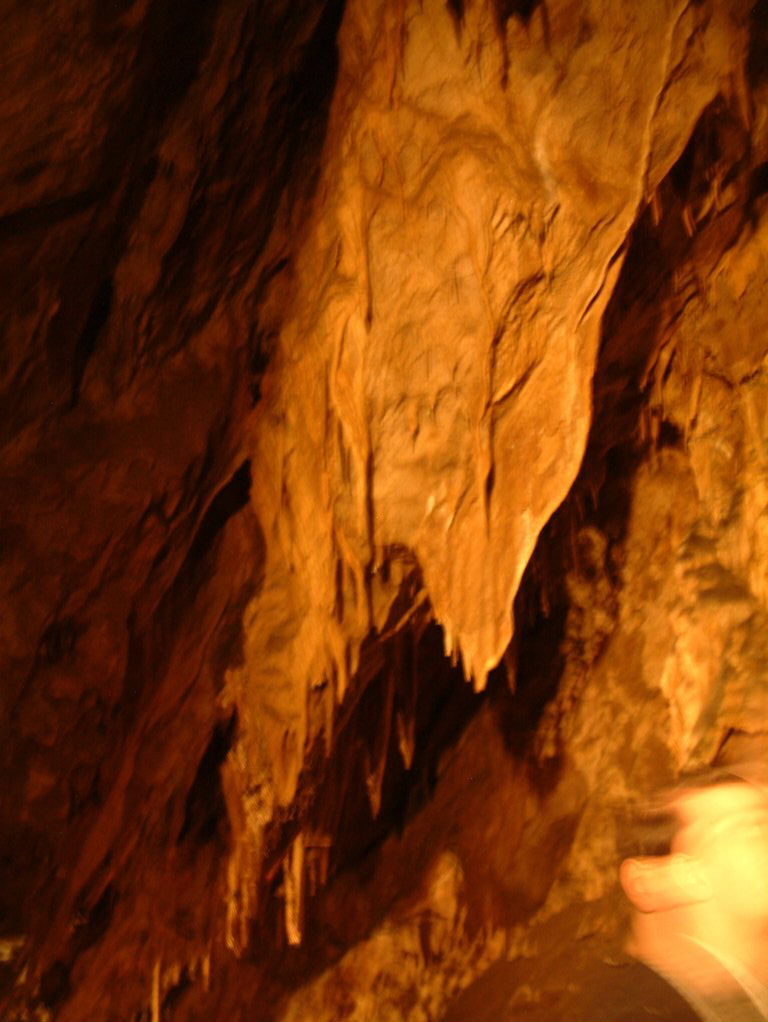 DSCF0185.JPG