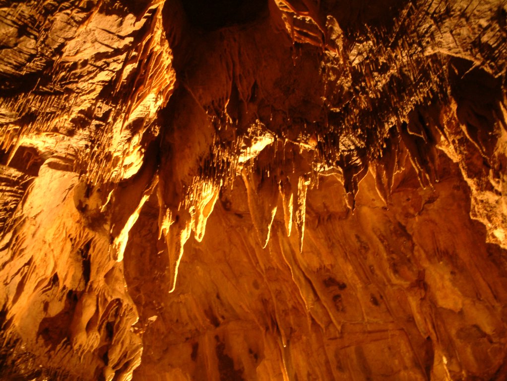 DSCF0189.JPG