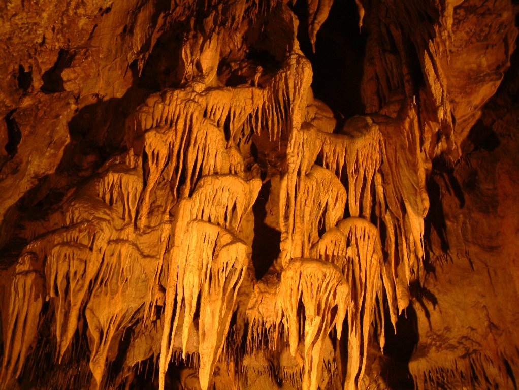 DSCF0190.JPG